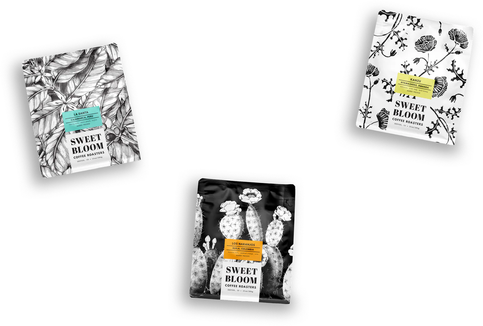 Crafting Extraordinary Coffee Moments